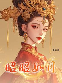昭昭如月 封面 昭昭如月 封面