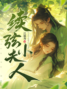 續絃小夫人