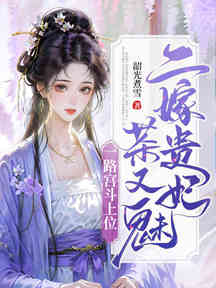 二嫁貴妃茶又魅,一路宮鬥上位