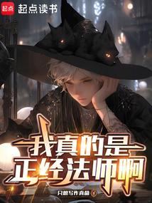 我真的是正經法師啊 封面 我真的是正經法師啊 封面