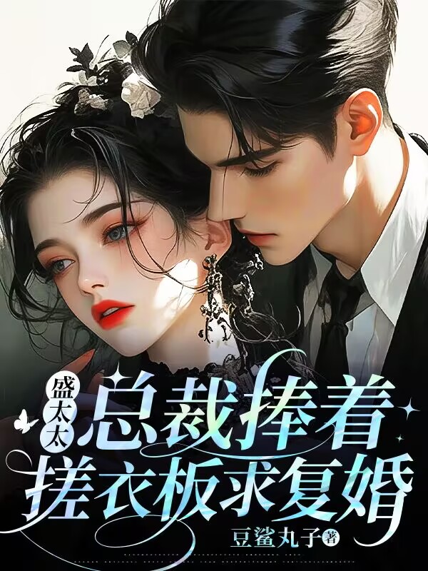 盛太太,總裁捧著搓衣板求復婚