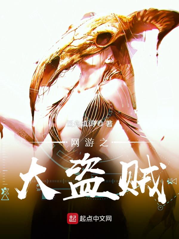 網遊之大盜賊 封面 網遊之大盜賊 封面
