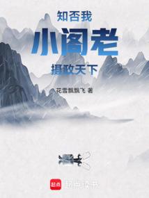 知否:我,小閣老,攝政天下