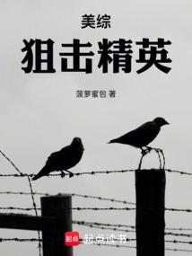美綜:狙擊精英