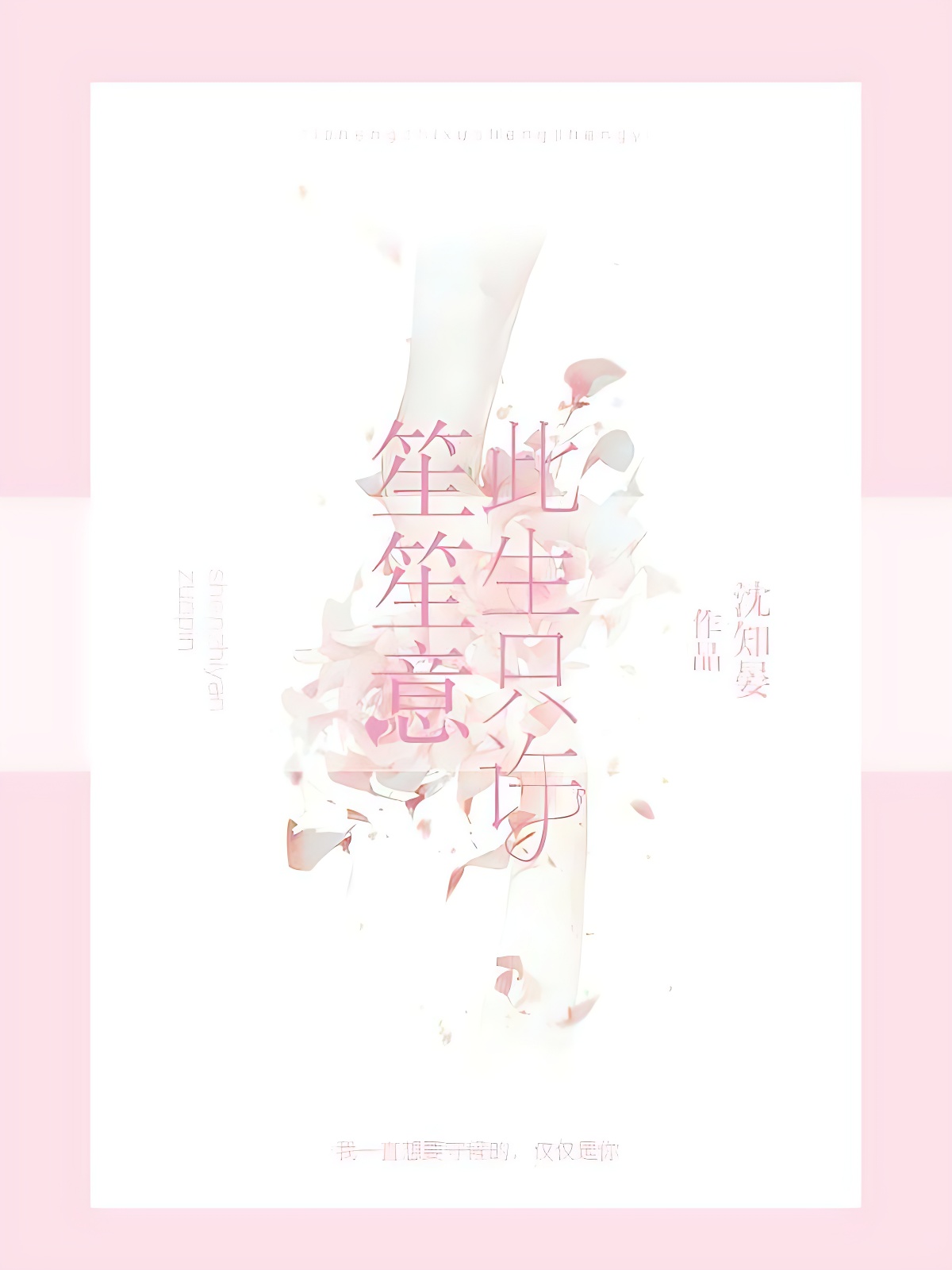 此生只許笙笙意