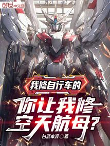 我修腳踏車的,你讓我修空天航母