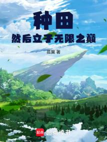 種田然後立於無限之巔