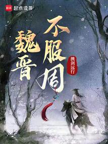 魏晉不服周