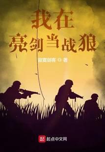 我在亮劍當戰狼