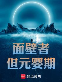面壁者,但元嬰期 封面 面壁者,但元嬰期 封面