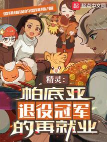 精靈:帕底亞退役冠軍的再就業
