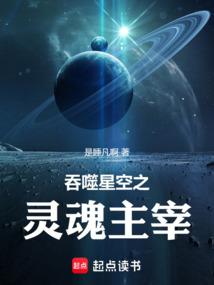 吞噬星空之靈魂主宰 封面 吞噬星空之靈魂主宰 封面