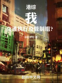 港綜:我,交通執行及管制組?