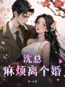 沈總,麻煩離個婚