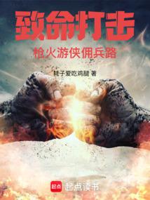 致命打擊:槍火遊俠傭兵路