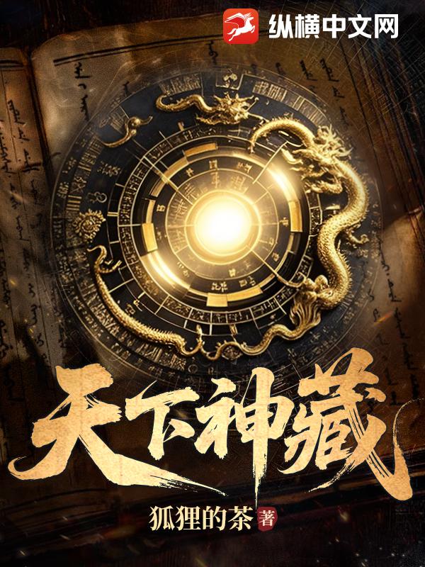 天下神藏 封面