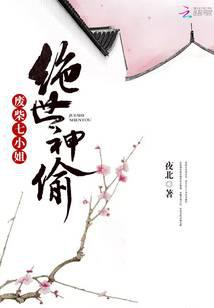 絕世神偷：廢柴七小姐