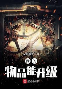 我的物品能升級