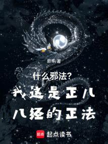 什麼邪法?我這是正兒八經的正法 封面 什麼邪法?我這是正兒八經的正法 封面