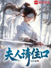 夫人請住手 封面 夫人請住手 封面