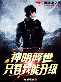 神明降世：只有我能升級