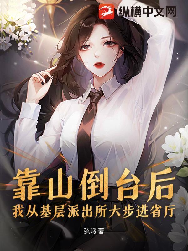 靠山倒臺後，我從基層派出所大步進省廳