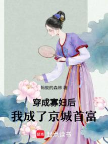 穿成寡婦後,我成了京城首富