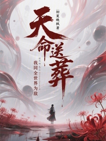 天命送葬,我同全世界為敵