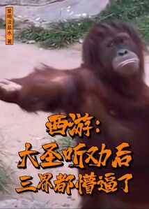 西遊:大聖聽勸後,三界都懵逼了