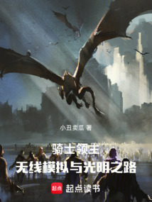 騎士領主:無限模擬與光明之路