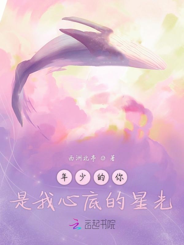 年少的你是我心底的星光 封面 年少的你是我心底的星光 封面